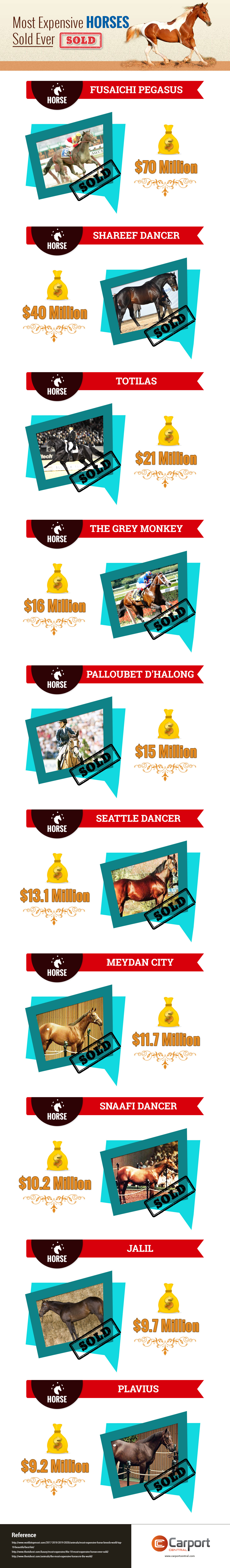 Most-Expensive-Horses-Sold-Ever