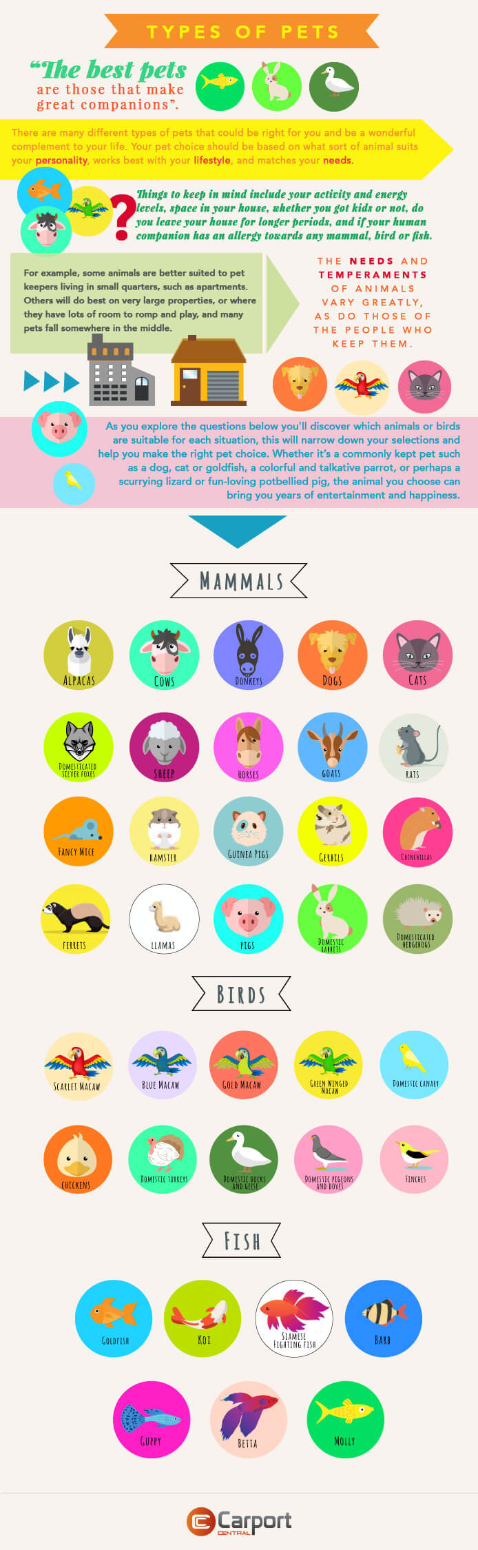 Types of Pets
