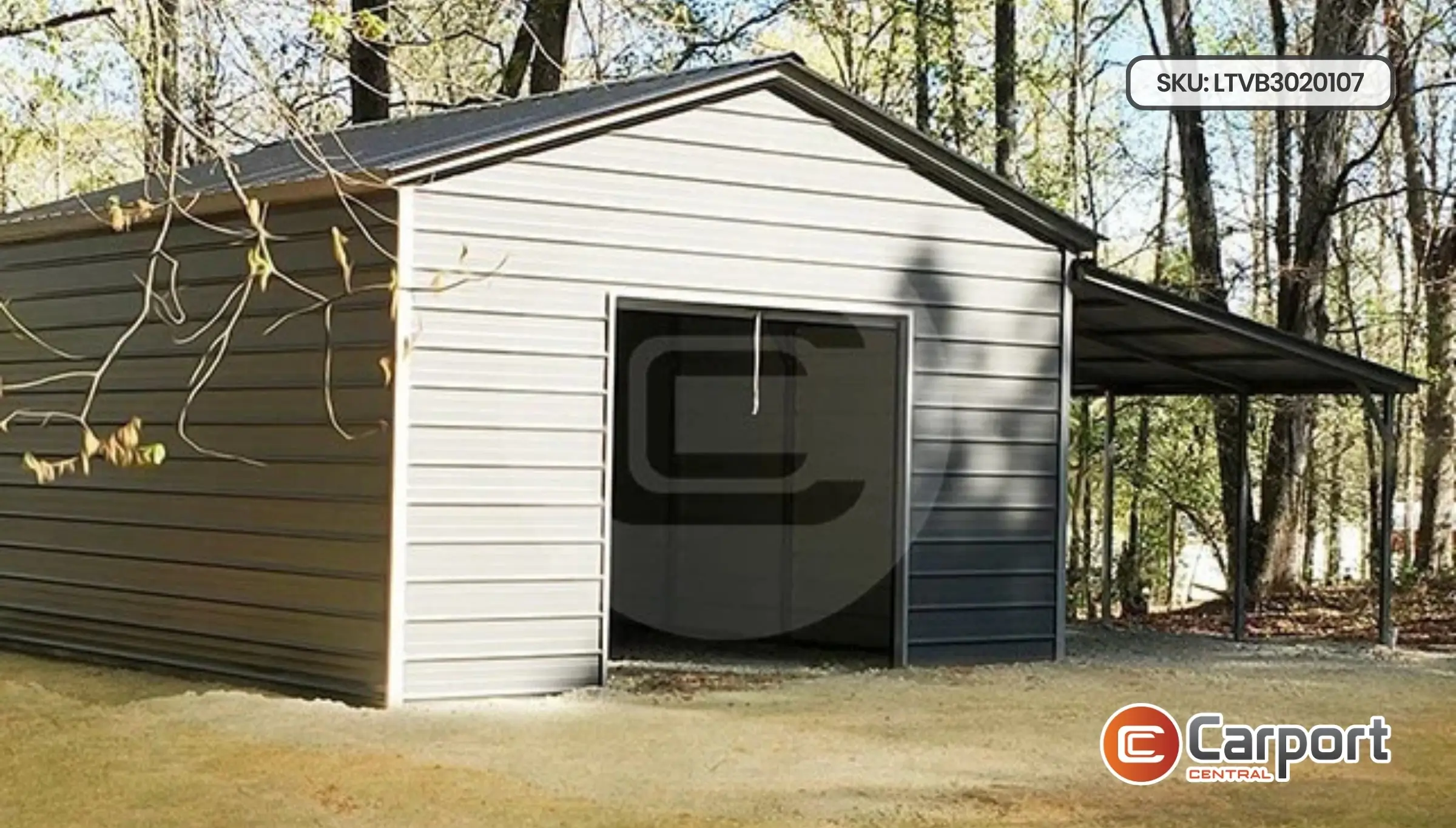 30'x20' Lean-to Building