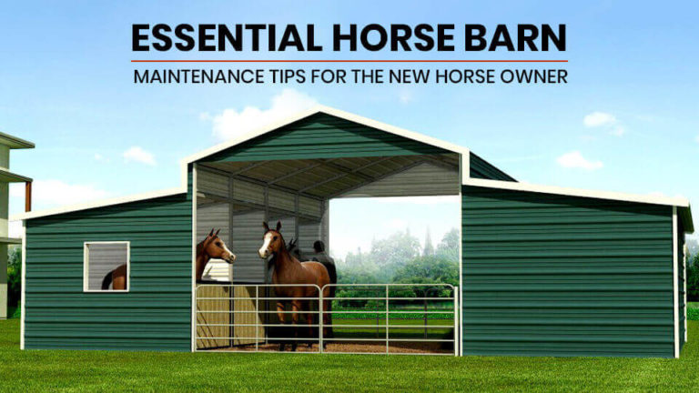 Essential Horse Barn Maintenance Tips for the New Horse Owner