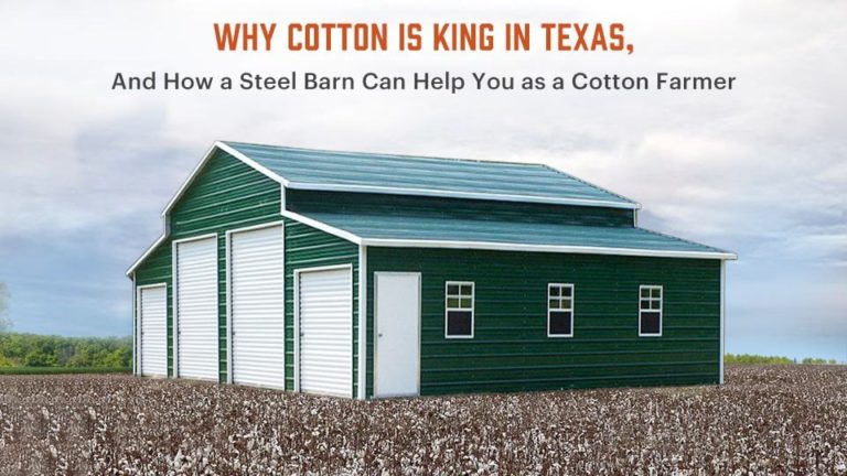 Why Cotton Is King in Texas, and How a Steel Barn Can Help You as a Cotton Farmer