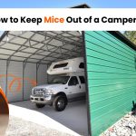 How to Keep Mice Out of a Camper